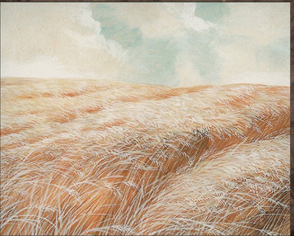 Plains