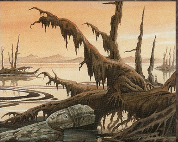 Swamp