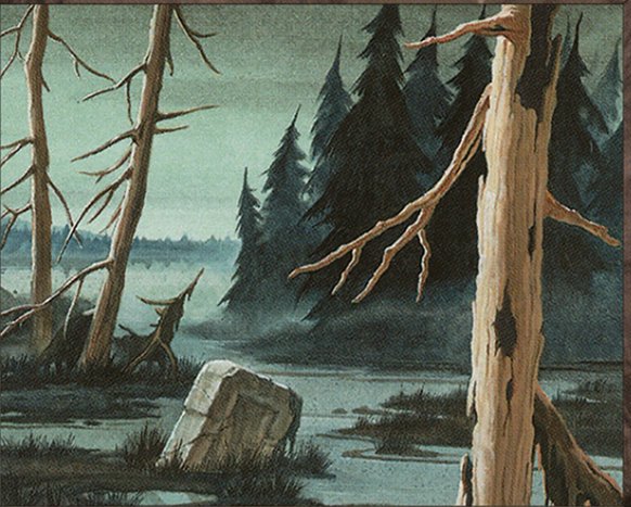 Swamp