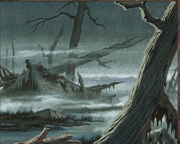 Swamp
