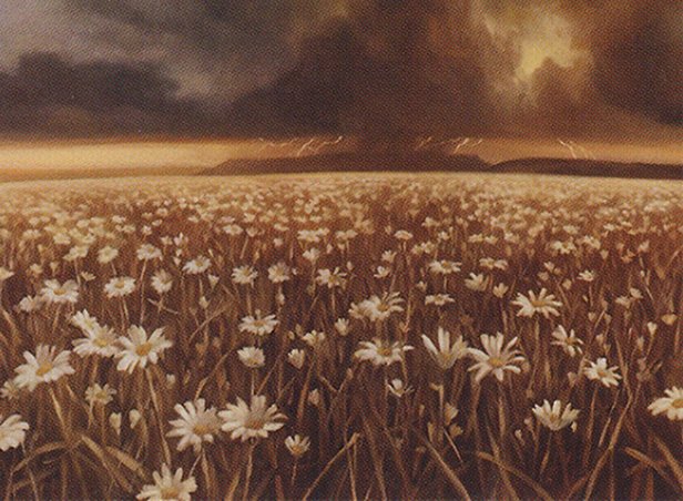 Plains