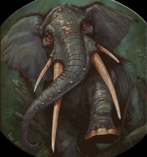 Elephant