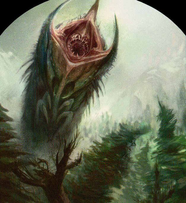 Wurm