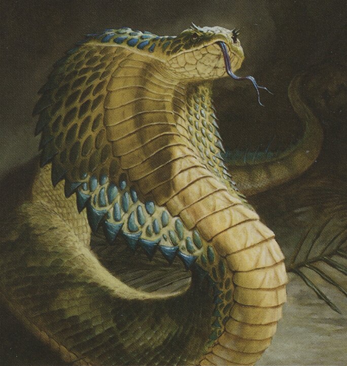 Snake