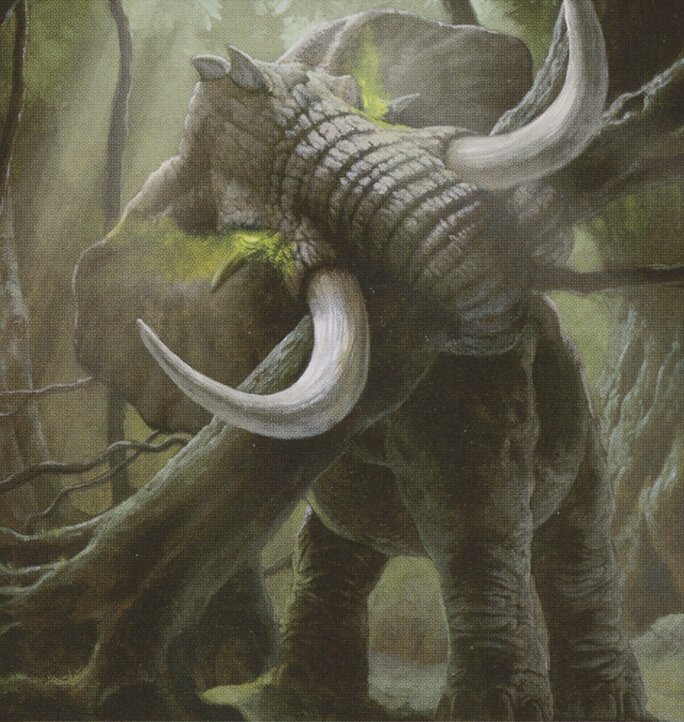 Elephant
