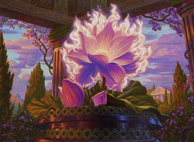 Nyx Lotus