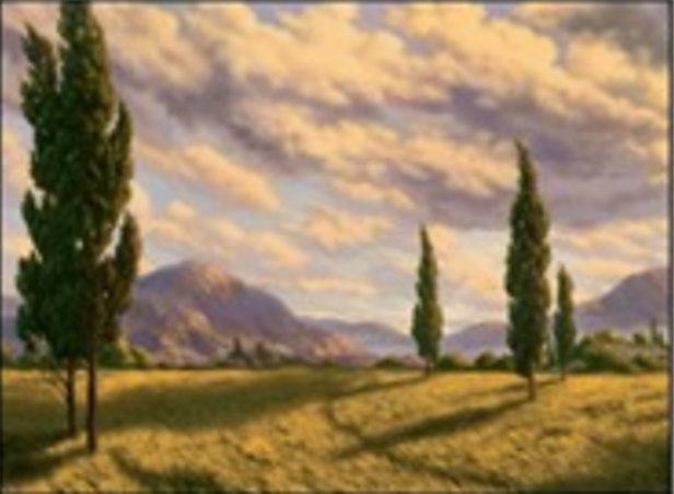Plaine