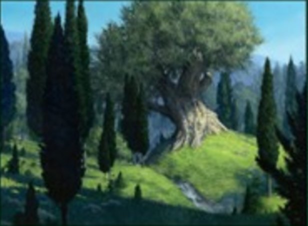 Forêt