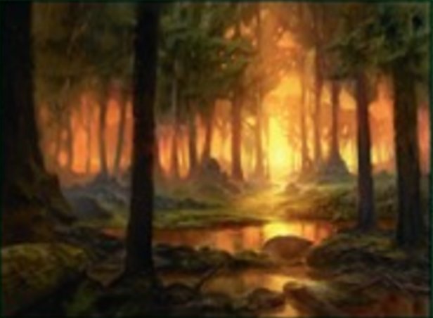 Forêt