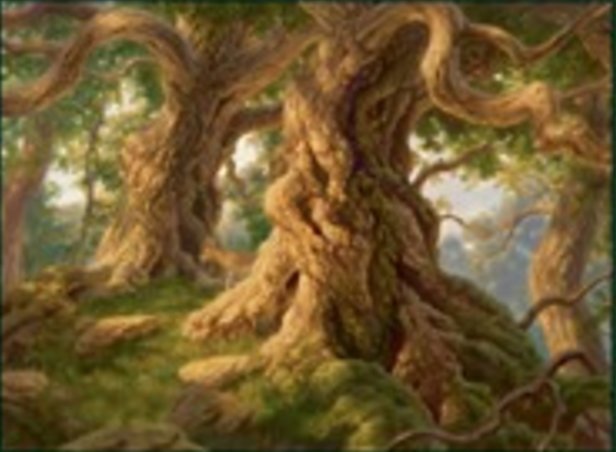 Forêt