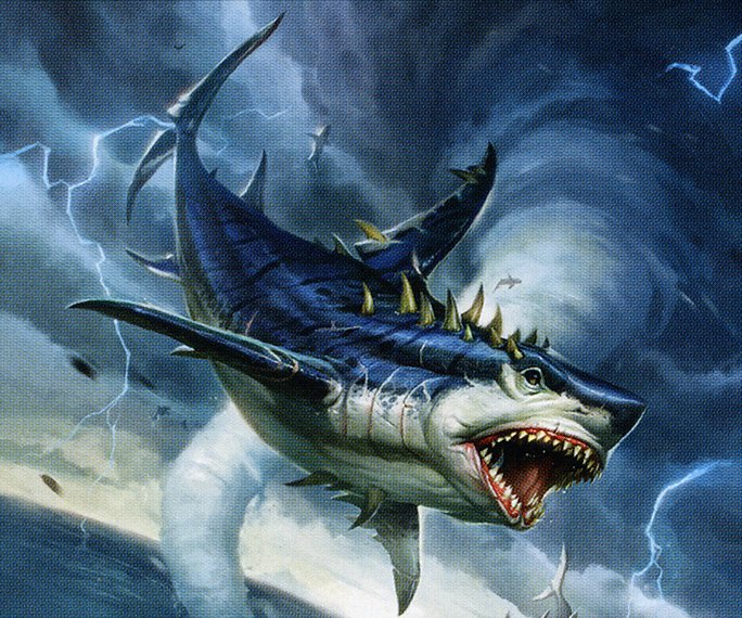 Shark