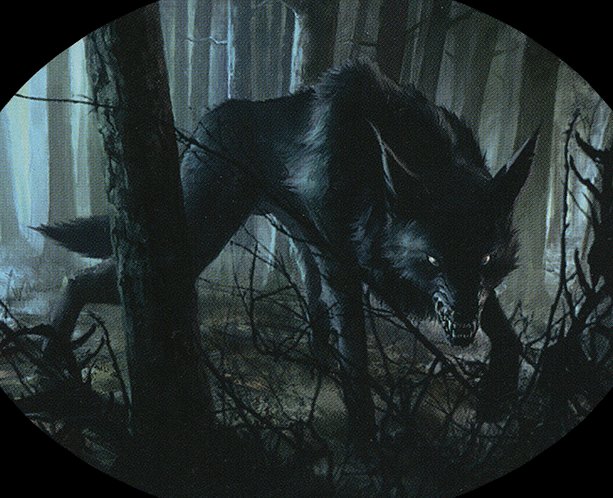 Wolf