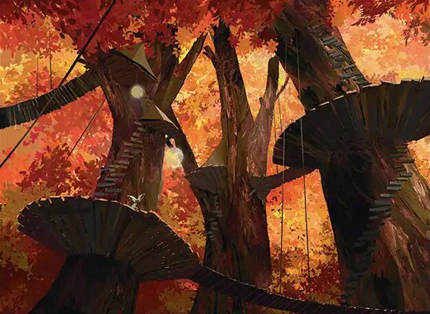 Forest