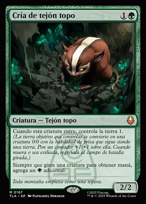 Cría de tejón topo