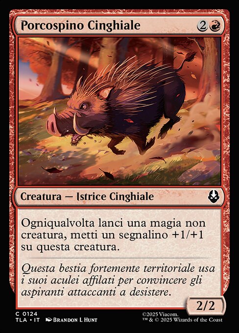 Porcospino Cinghiale