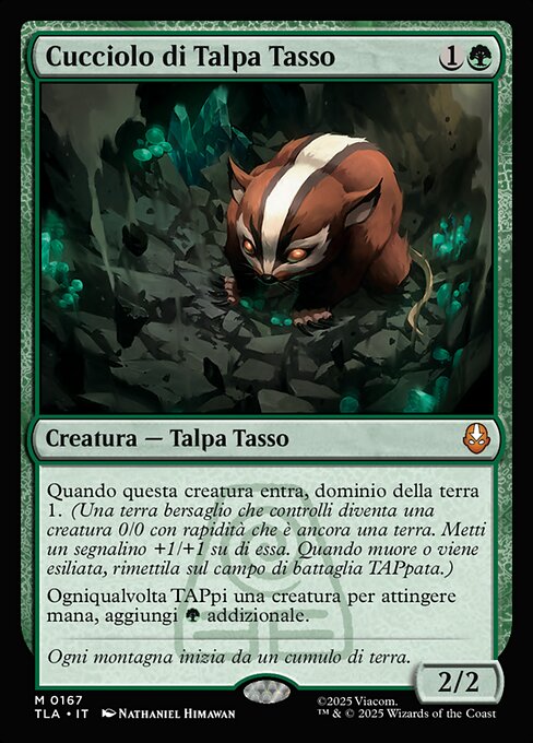 Cucciolo di Talpa Tasso