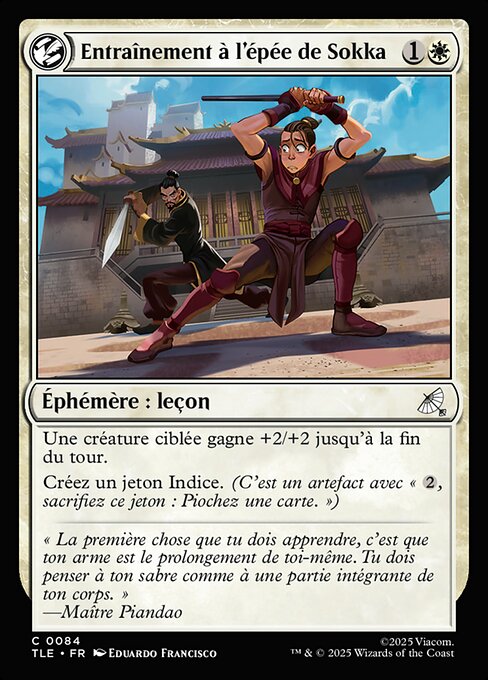 Entraînement à l'épée de Sokka