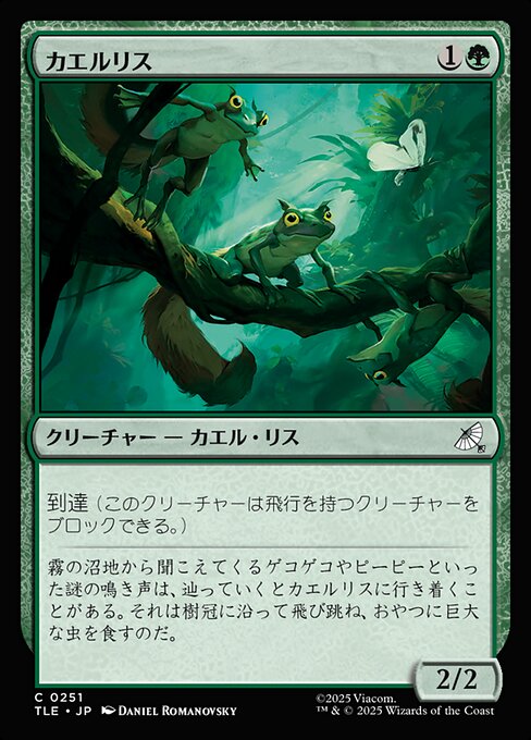 カエルリス