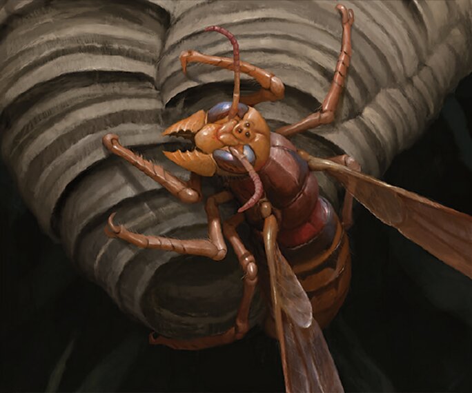 Insect