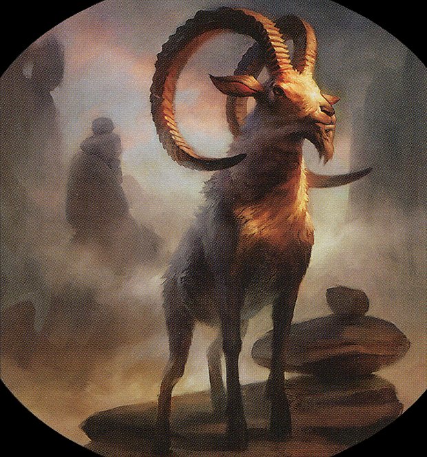 Goat