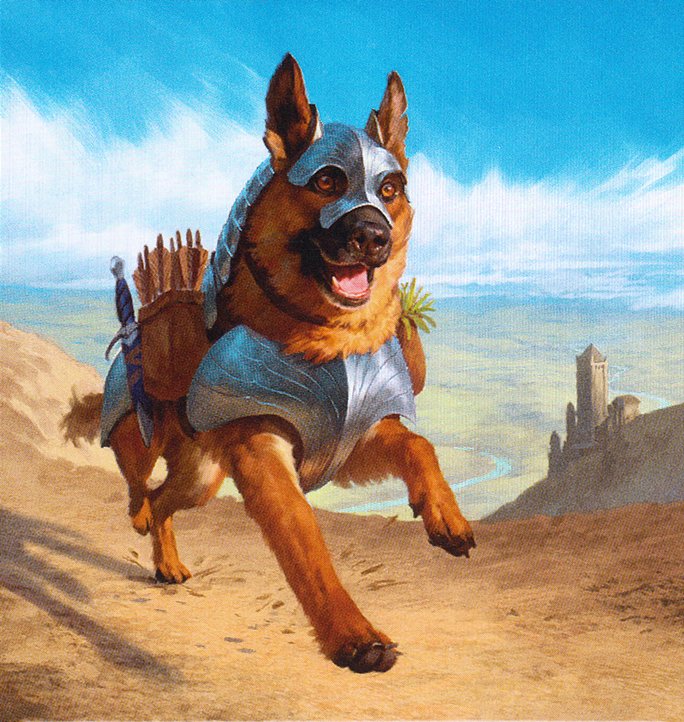 Dog