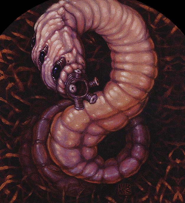 Worm