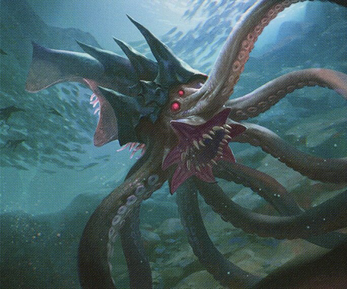 Squid