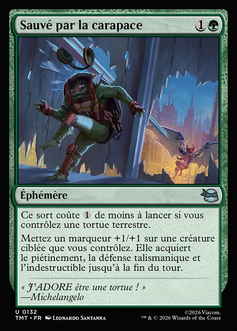 Sauvé par la carapace