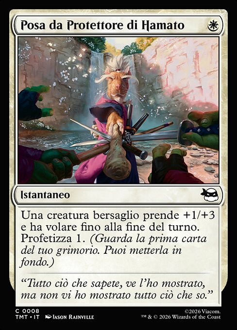 Hamato Guardian Stance