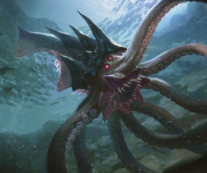 Squid
