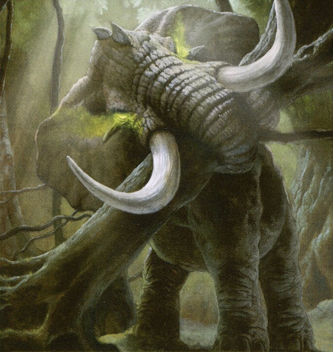 Elephant