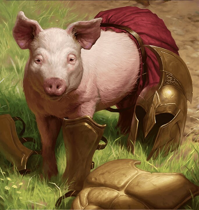 Boar