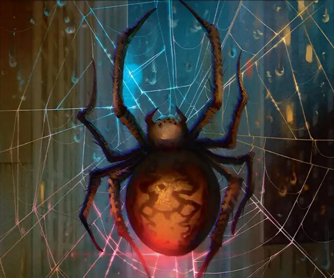 Spider
