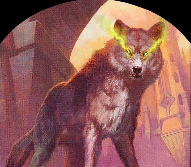 Wolf