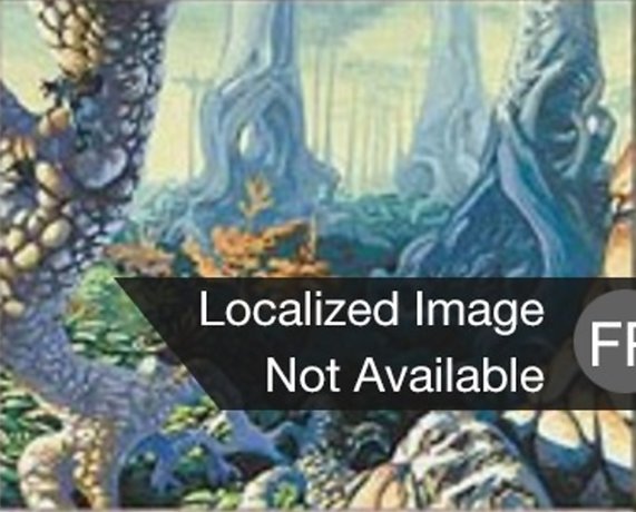 Forêt