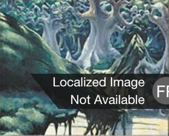 Forêt