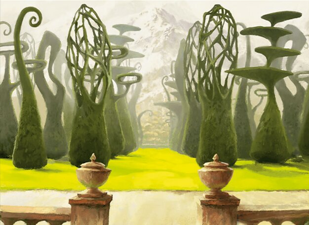 Canopy Vista