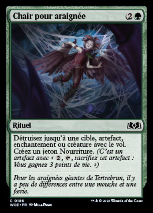 Chair pour araignée