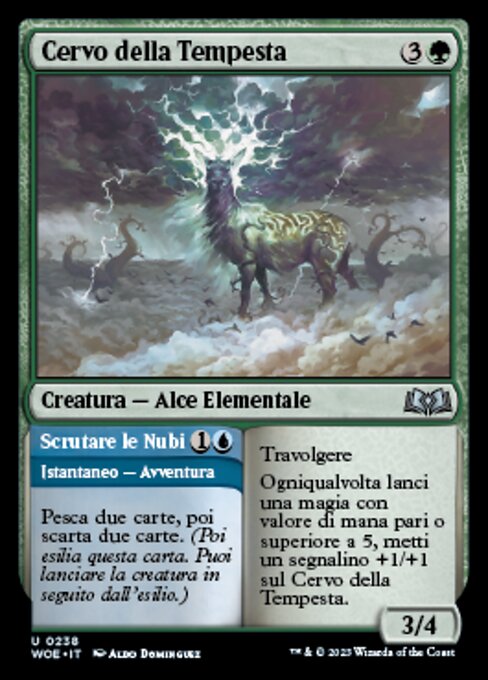 Tempest Hart // Scan the Clouds