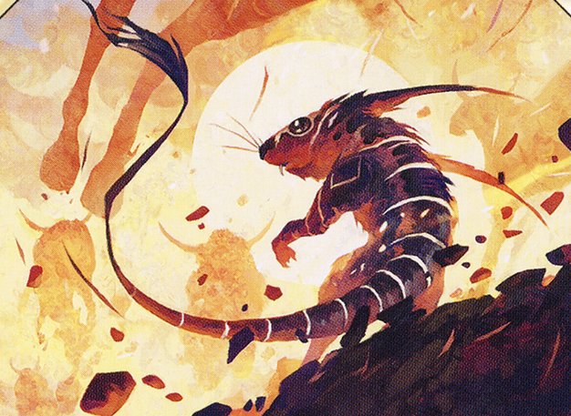 Canyon Jerboa