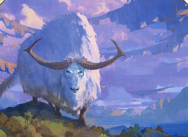 Makindi Ox