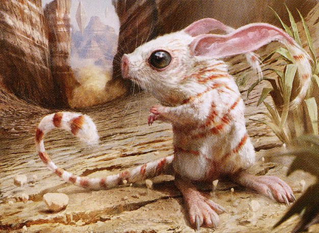 Canyon Jerboa
