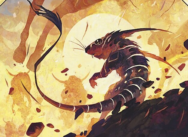 Gerboa del Canyon