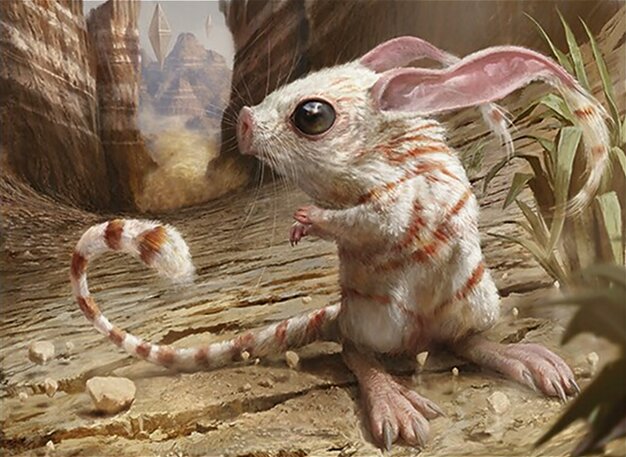 Gerboa del Canyon